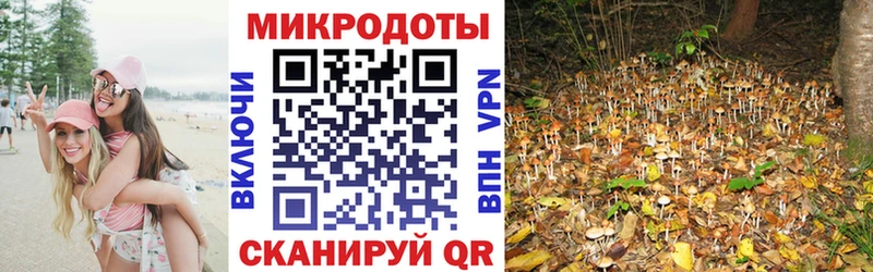 Галлюциногенные грибы Magic Shrooms  где купить наркотик  блэк спрут tor  Ефремов 