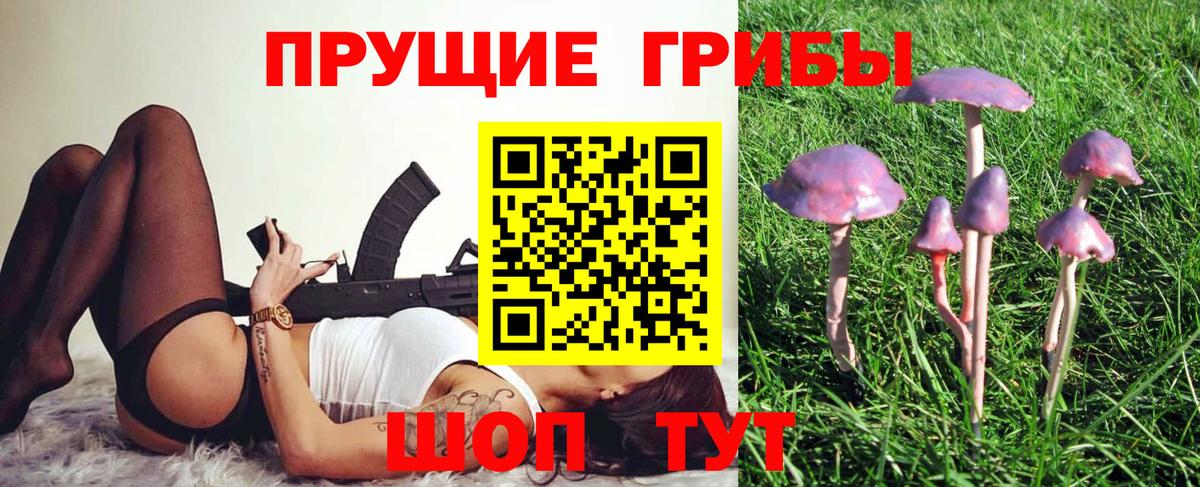 Галлюциногенные грибы Cubensis Ефремов