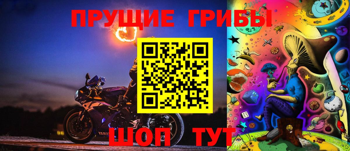 Псилоцибиновые грибы Magic Shrooms  Вход с VPN  Ефремов  Галлюциногенные грибы Magic Shrooms 