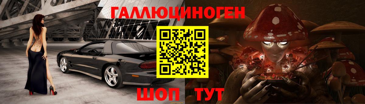 Псилоцибиновые грибы Psilocybe  Ефремов 